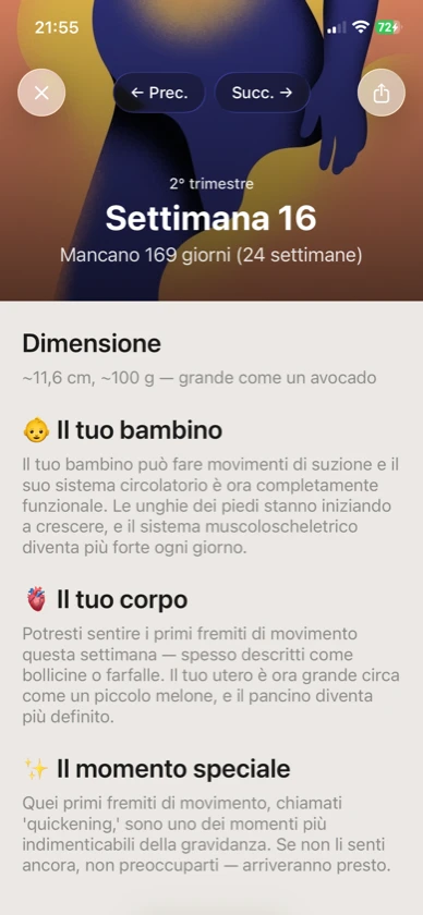 Ribbon Family: settimana 16 di gravidanza illustrata