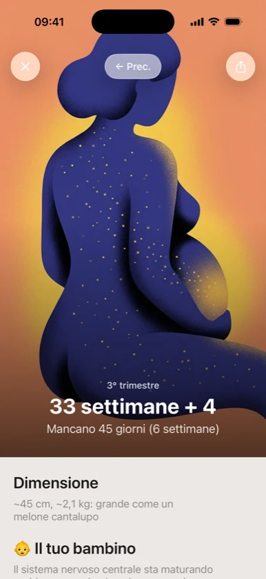 Ribbon Family: settimana 34 di gravidanza illustrata