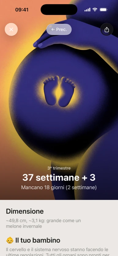 Gravidanza settimana per settimana: 40 illustrazioni originali