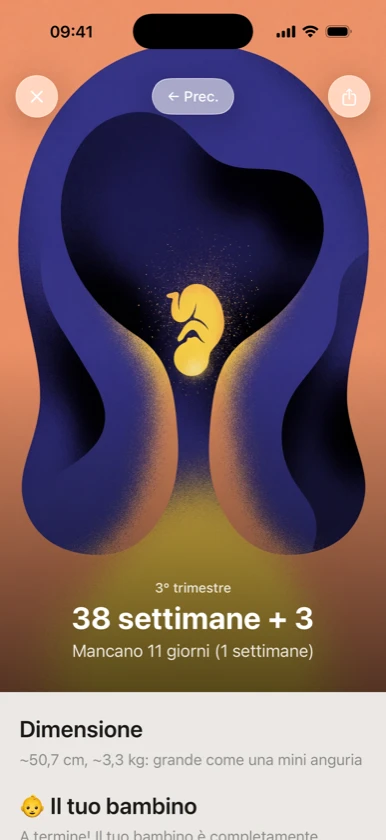 Ribbon Family: settimana 39 di gravidanza, il bambino nelle mani